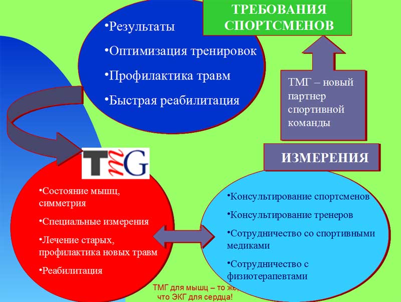 Система диагностики мышц