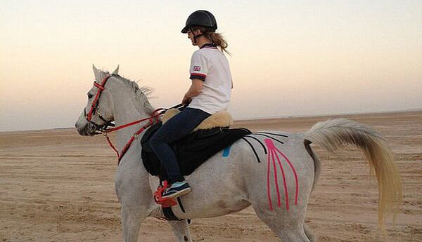 Кинесиотейпирование в лечении лошадей