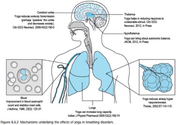 Значение тренировки дыхания для улучшения осанки, баланса, уменьшения боли и дискинезии