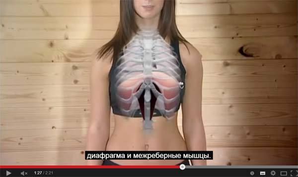 О пользе диафрагмального дыхания