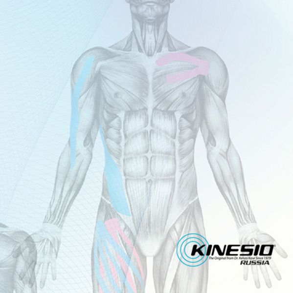 Предложение Kinesio: cкидки до 25 процентов на тейпы, подарки участникам семинаров