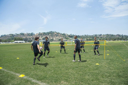 Сетка регулируемая футбольная/волейбольная Pro training Soccer Volley