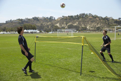 Сетка регулируемая футбольная/волейбольная Pro training Soccer Volley