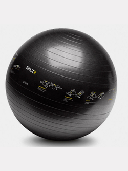 Гимнаст. мяч  65 Trainer Ball Sport Performance